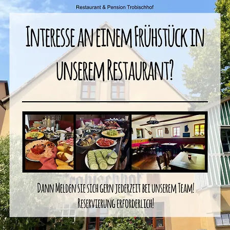 Weintraube Apartment Dresden